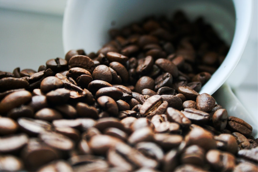 Roasted coffee beans spilling from a white ceramic cup.